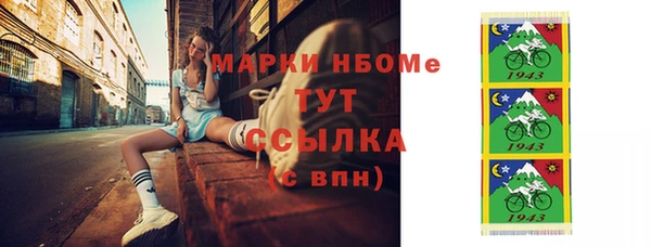 индика Краснослободск