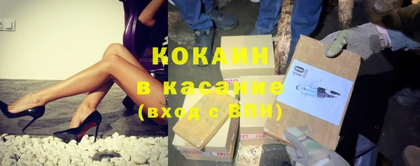 индика Краснослободск