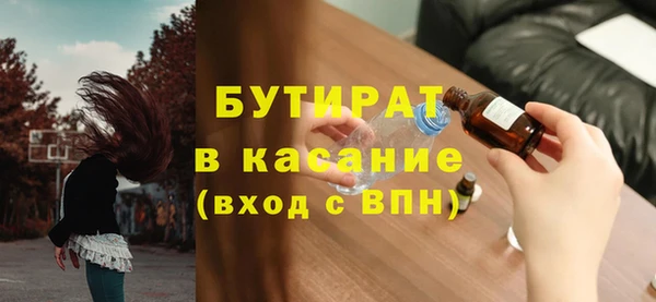 индика Краснослободск