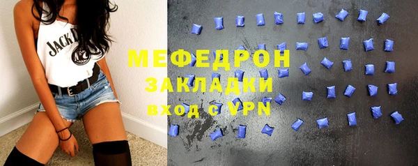 индика Краснослободск