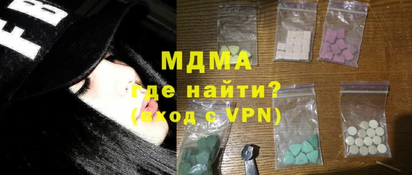 индика Краснослободск