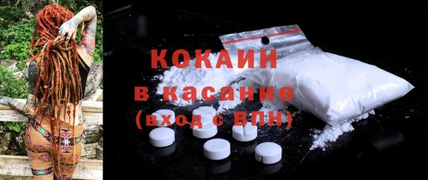 индика Краснослободск