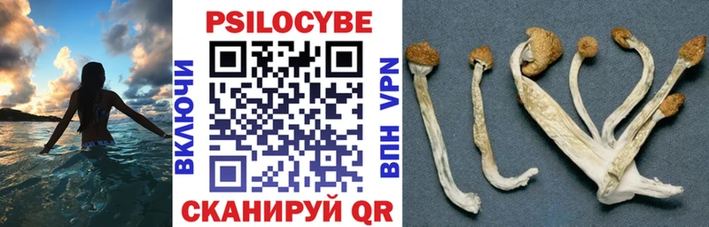 Галлюциногенные грибы мицелий  Кола 